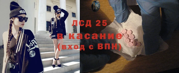 стафф Алексин