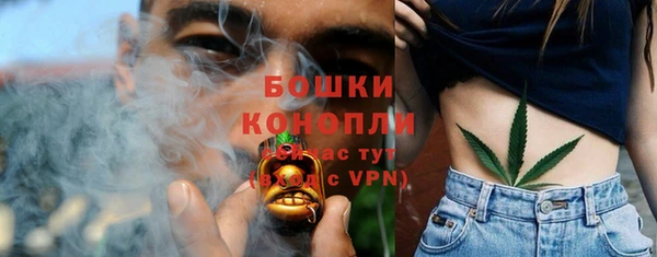 spice Алзамай