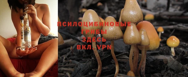 стафф Алексин