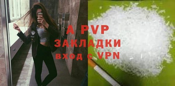 стафф Алексин