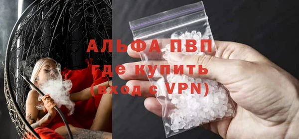 стафф Алексин