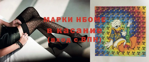 стафф Алексин