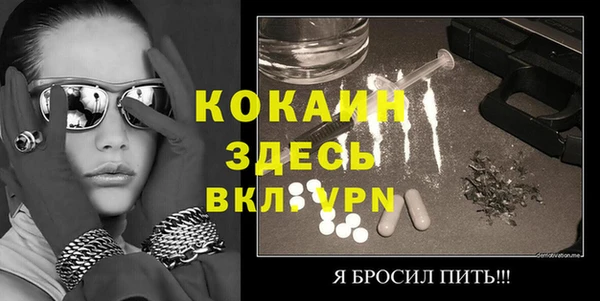 стафф Алексин